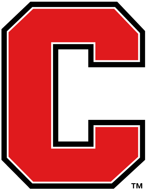 Cornell Big Red 1998-Pres Alternate Logo diy iron on heat transfer